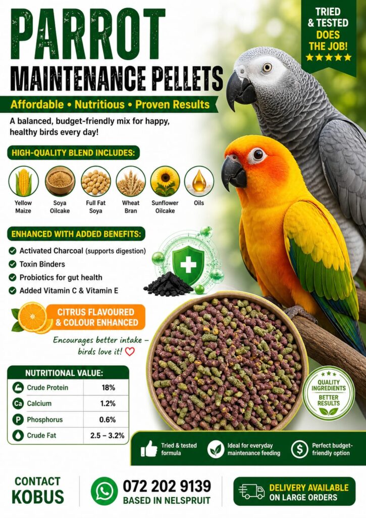 Parrot Maintenane