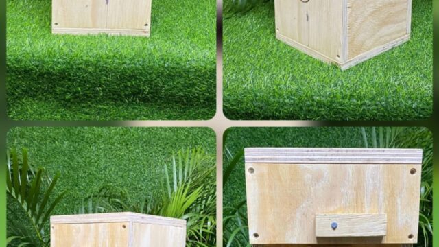 Trey Conure nest box