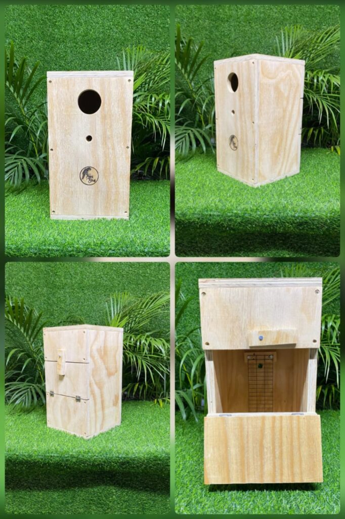 Trey-Ringneck-Nest-