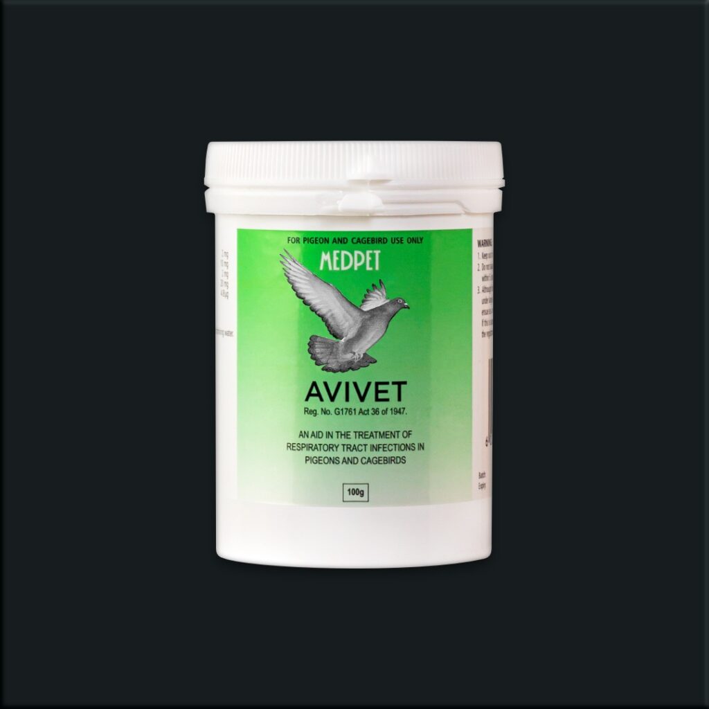 Avivet