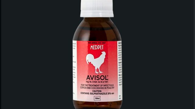 Avisol