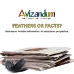 Feathers or Facts
