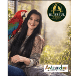 Yolandi van den Berg - Blissful Wings