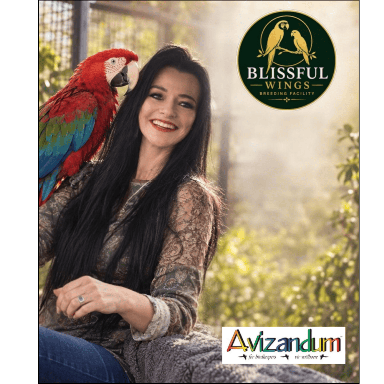 Yolandi van den Berg - Blissful Wings