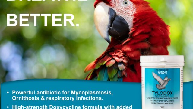 Tylodox